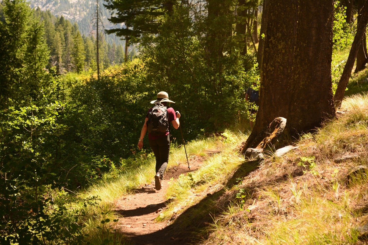 Trekking
