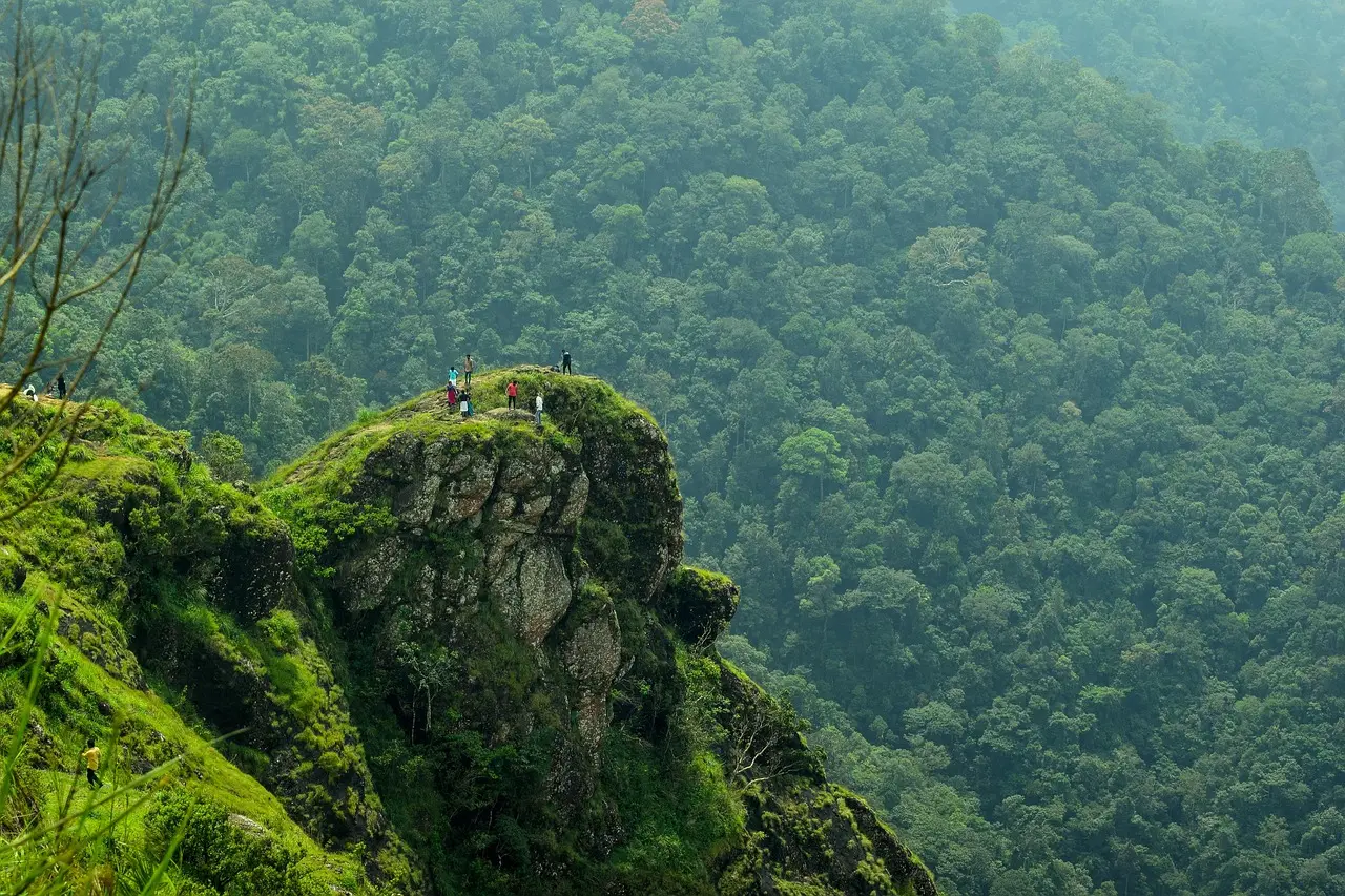 Hill View