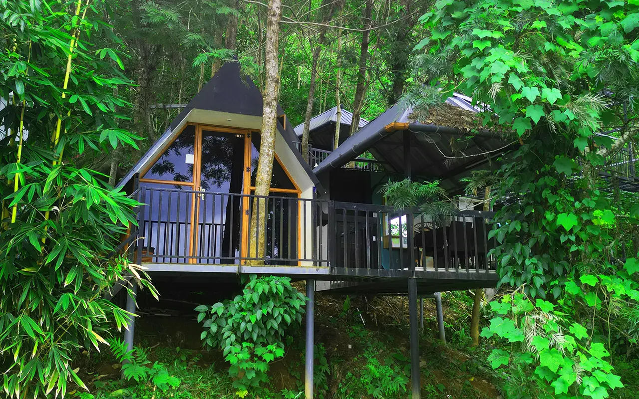 Nature’s Triangle Cottage