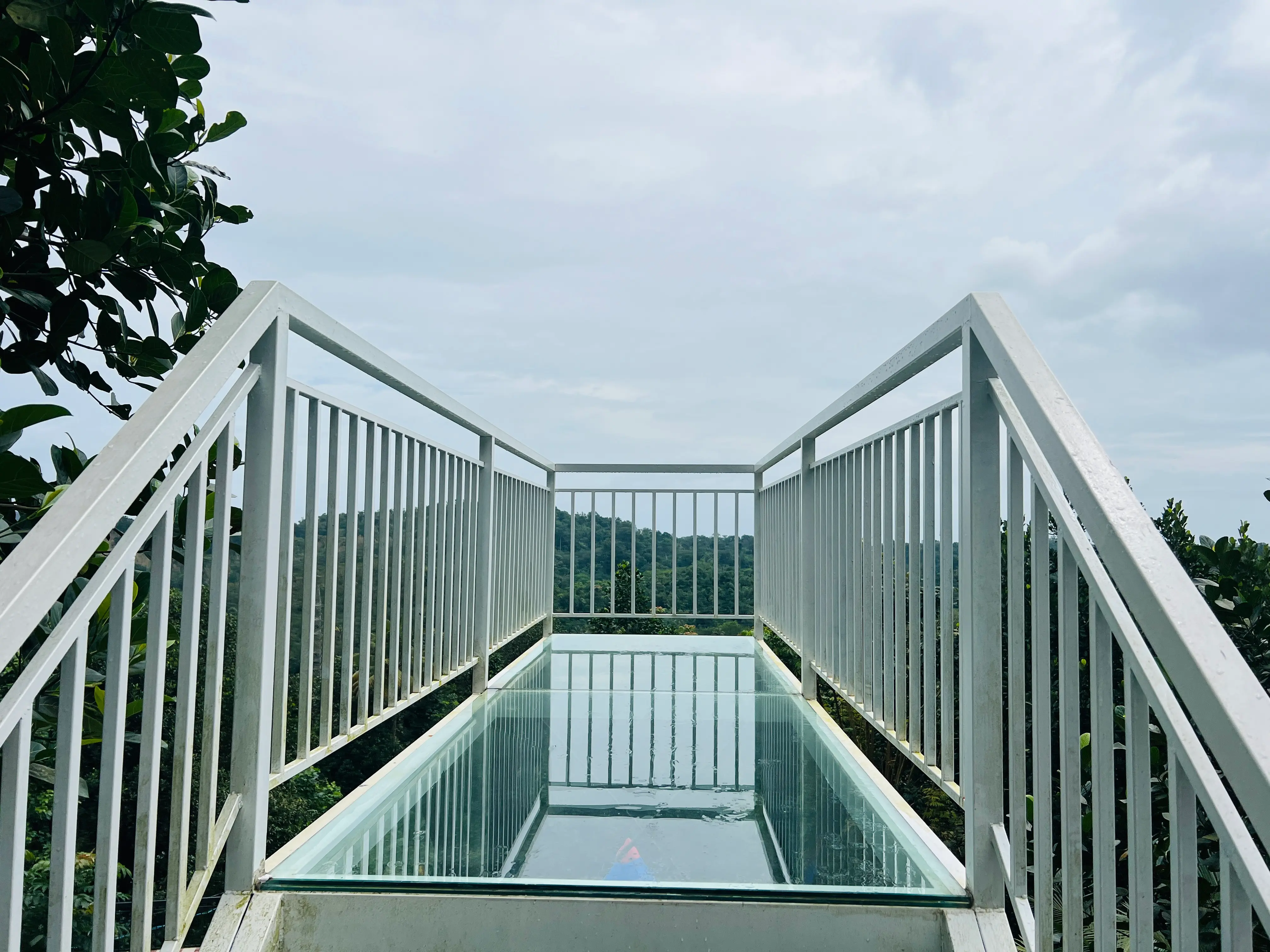 Gallery Image 10